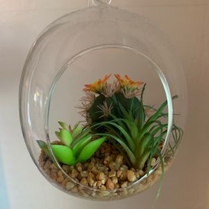 Artificial Plant Glass Terrarium